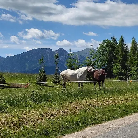 U D&j Jarosz Bed & Breakfast *