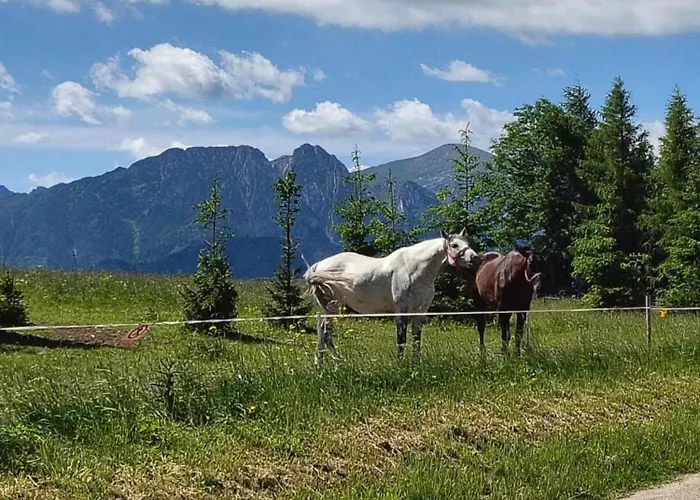 U D&j Jarosz Bed & Breakfast *